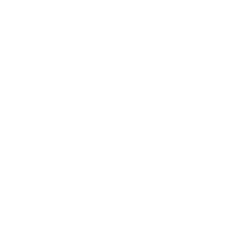 link to github profile